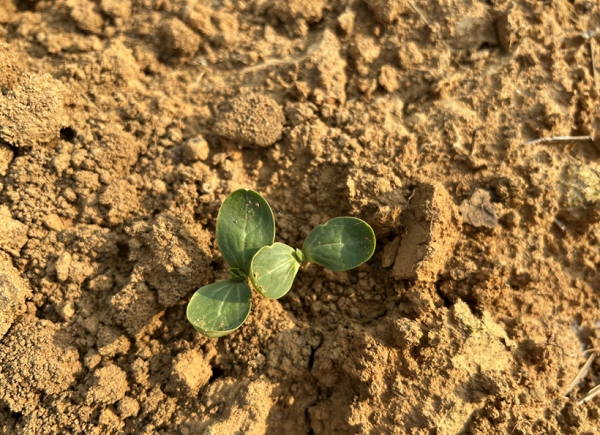 測定土壤碳氮比的意義在于哪里?土壤總有機碳檢測儀的原理