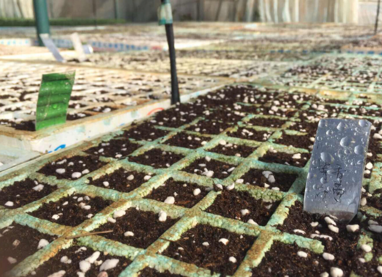 土壤氧化還原電位測(cè)定儀:解讀適用范圍與土壤類型