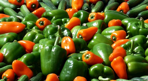 市場(chǎng)監(jiān)管必備儀器,食品安全檢測(cè)儀器有哪些作用