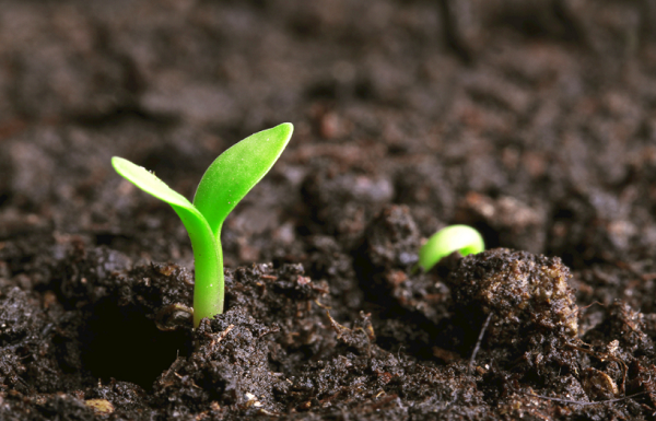 測土配方儀的應用價值是什么?測土配方儀的應用前景