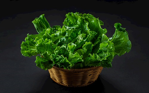 農殘儀器:全自動農藥殘留物檢測儀/多功能食品安全檢測儀/農藥殘留快速檢測儀