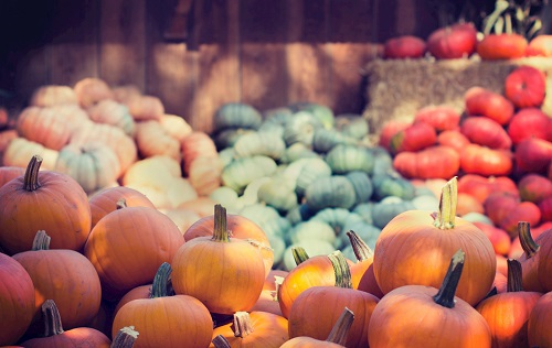 科學儀器的支持---農藥殘留檢測儀對農業生產的重要性！