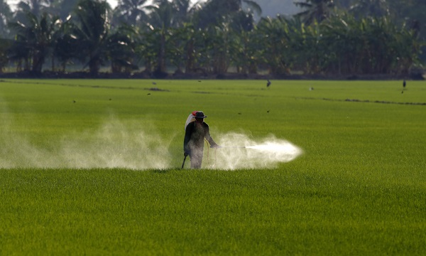 瓜果蔬菜的農藥殘留怎么規避？如何判斷食品是否含有農藥殘留
