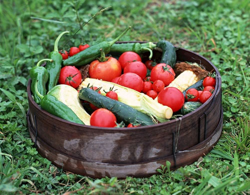 到底什么是農藥殘留超標？農藥殘留檢測儀避免農藥殘留超標