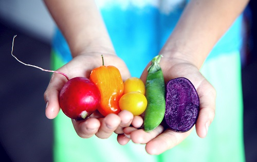 食品安全儀器的檢測對象包括哪些?