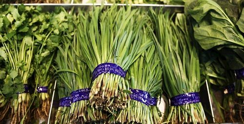 韭菜農藥殘留超標如何解決？兩方面合力保障食品安全