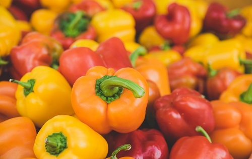 多功能食品安全檢測(cè)儀器都配備哪些功能?