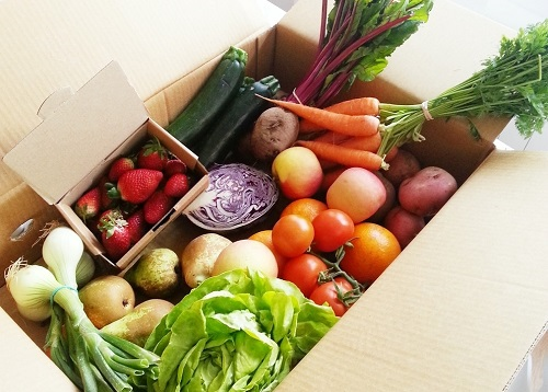 食品安全檢測儀可有效提高質量抽檢效率，為食品安全監督做出貢獻