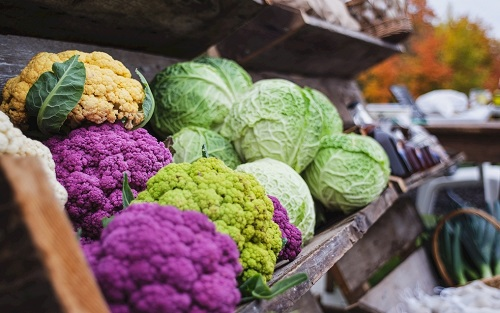 食品安全檢測儀在保證食品質量方面有哪些優(yōu)勢?