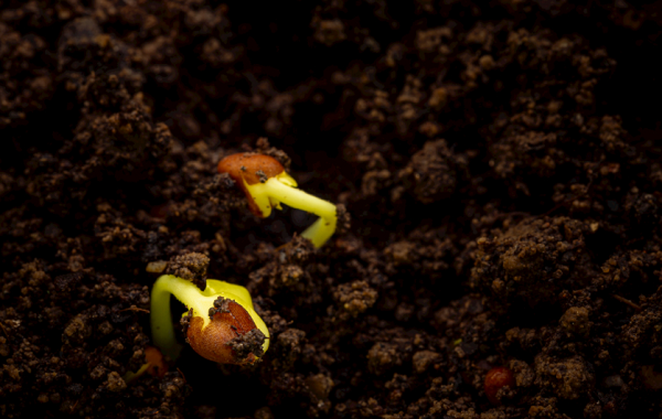 土壤研磨儀是什么?在選擇土壤研磨儀時(shí)應(yīng)該考慮哪些問題?