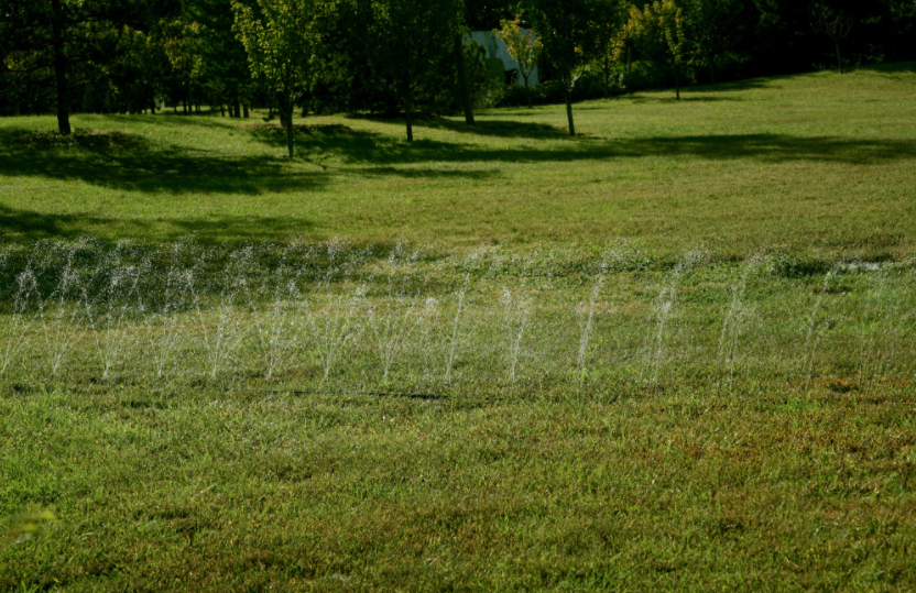 農(nóng)田智能化:土壤水分測(cè)定儀實(shí)時(shí)評(píng)估土壤水分狀況